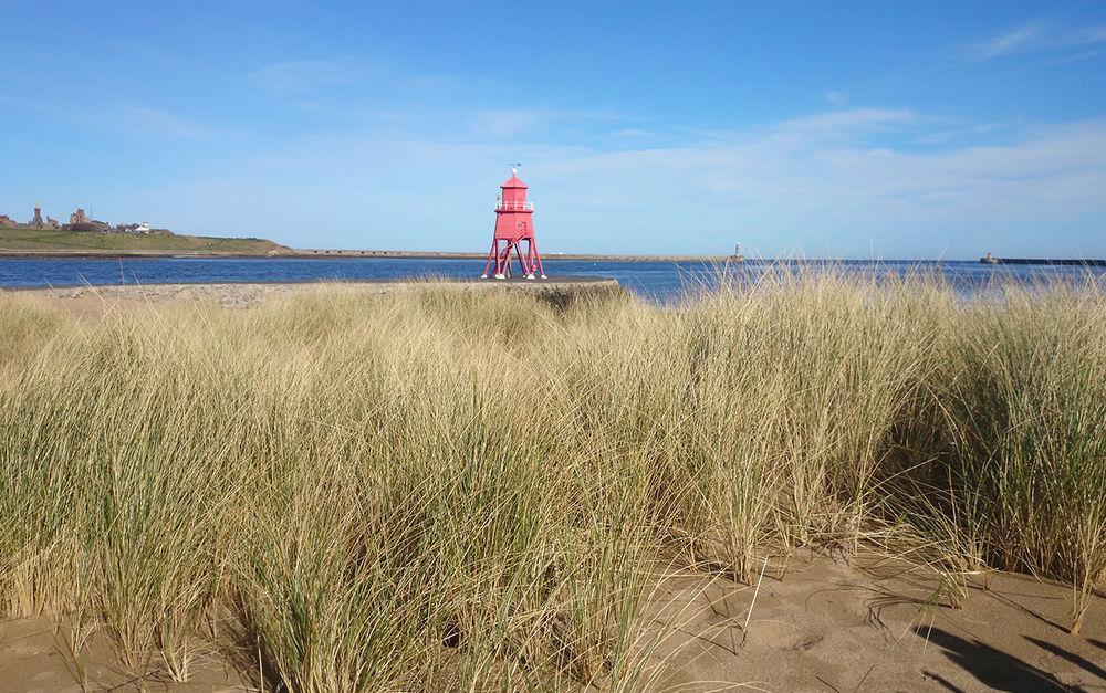 The Little Haven Hotel On The Beach South Shields Eksteriør billede